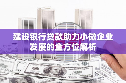 汝南建设银行贷款助力小微企业发展的全方位解析