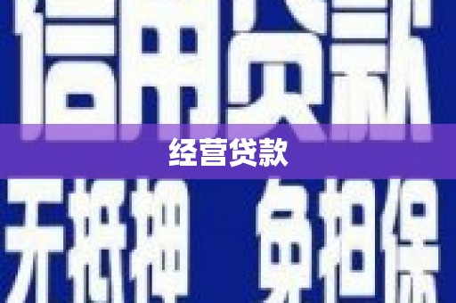 汝南经营贷款