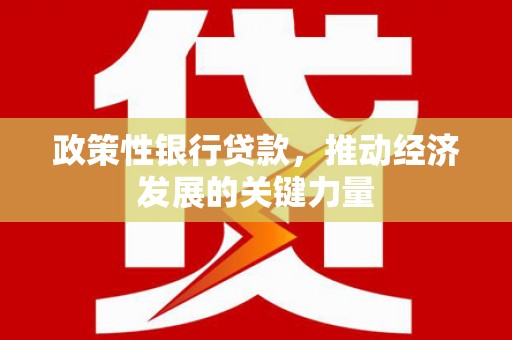 汝南政策性银行贷款，推动经济发展的关键力量