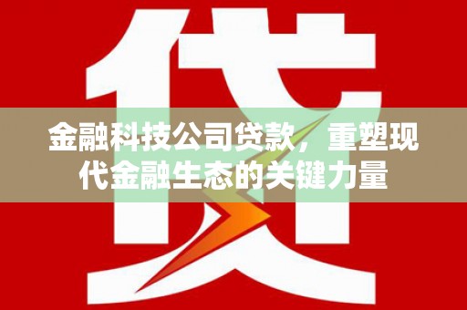 汝南金融科技公司贷款，重塑现代金融生态的关键力量