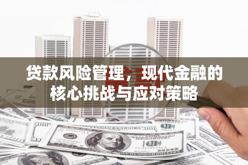 汝南贷款风险管理，现代金融的核心挑战与应对策略