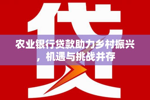 汝南农业银行贷款助力乡村振兴，机遇与挑战并存