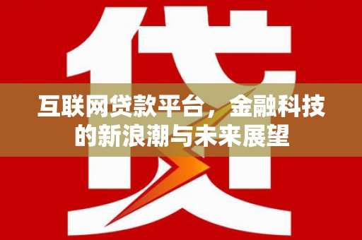 汝南互联网贷款平台，金融科技的新浪潮与未来展望