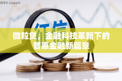 汝南微粒贷，金融科技革新下的普惠金融新篇章
