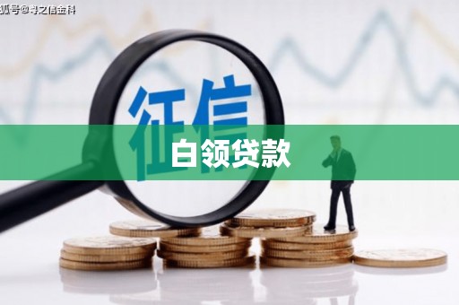 汝南白领贷款