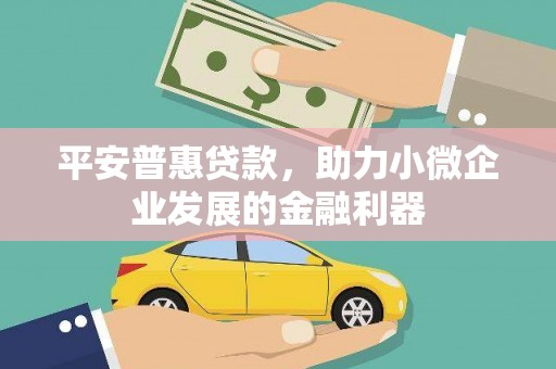 汝南平安普惠贷款，助力小微企业发展的金融利器