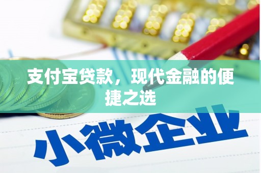 汝南支付宝贷款，现代金融的便捷之选
