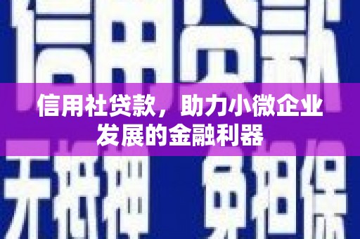 汝南信用社贷款，助力小微企业发展的金融利器