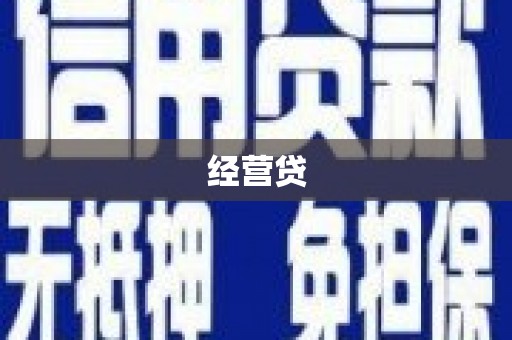 汝南经营贷