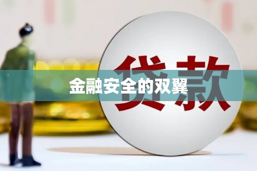 汝南金融安全的双翼