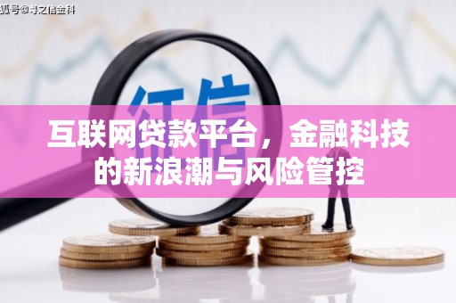 汝南互联网贷款平台，金融科技的新浪潮与风险管控