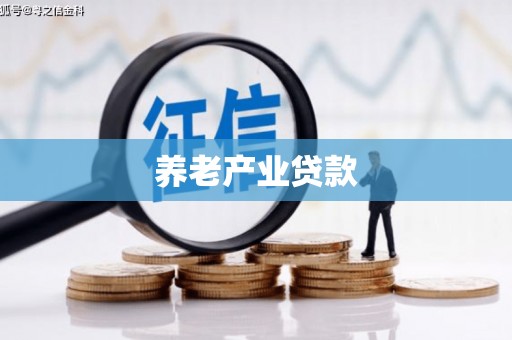 汝南养老产业贷款