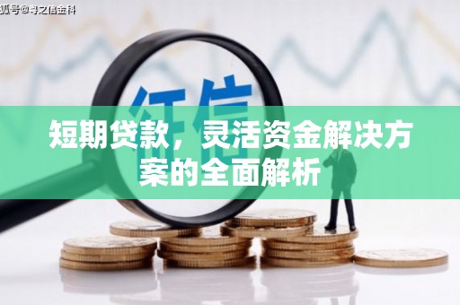 汝南短期贷款，灵活资金解决方案的全面解析