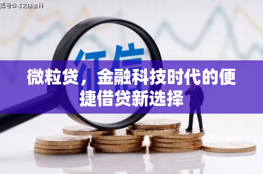 汝南微粒贷，金融科技时代的便捷借贷新选择