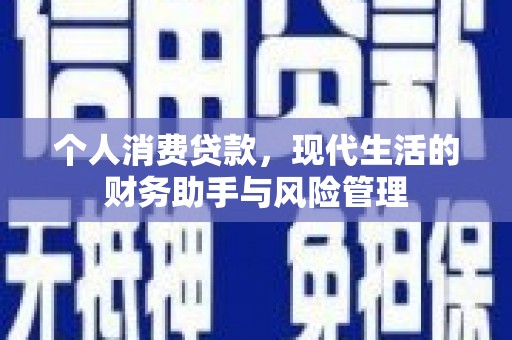 汝南个人消费贷款，现代生活的财务助手与风险管理