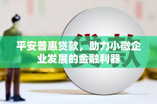 汝南平安普惠贷款，助力小微企业发展的金融利器