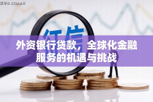 汝南外资银行贷款，全球化金融服务的机遇与挑战