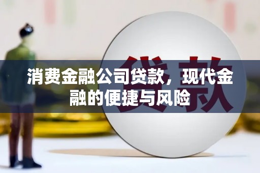 汝南消费金融公司贷款，现代金融的便捷与风险