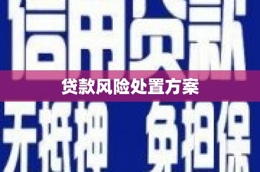汝南贷款风险处置方案