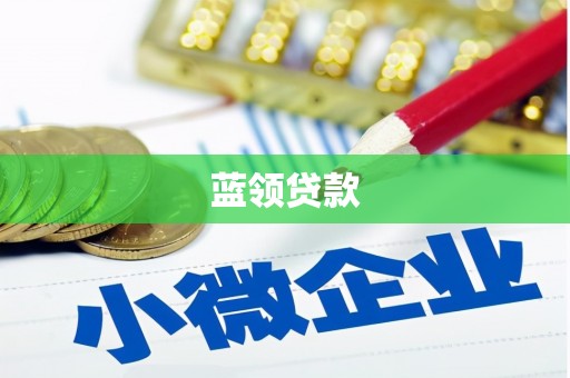 汝南蓝领贷款