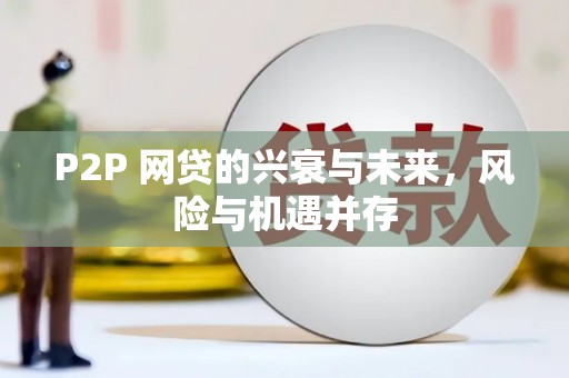 汝南P2P 网贷的兴衰与未来，风险与机遇并存