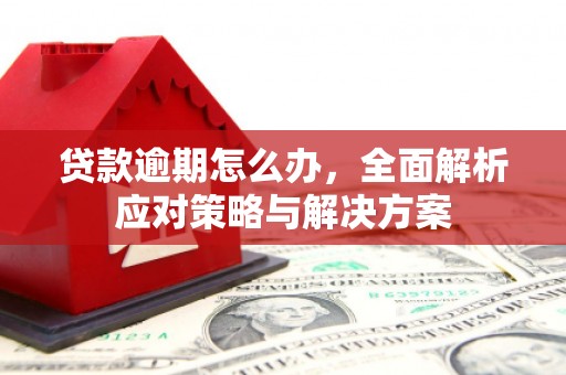 汝南贷款逾期怎么办，全面解析应对策略与解决方案