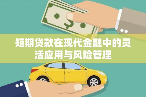 汝南短期贷款在现代金融中的灵活应用与风险管理