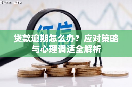 汝南贷款逾期怎么办？应对策略与心理调适全解析