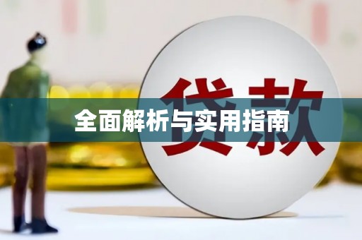 汝南全面解析与实用指南