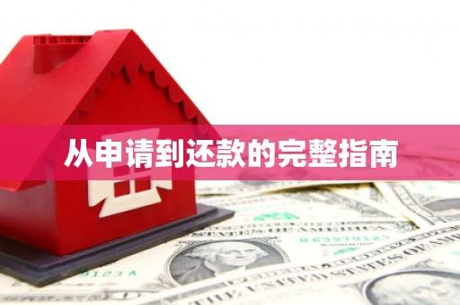 汝南从申请到还款的完整指南