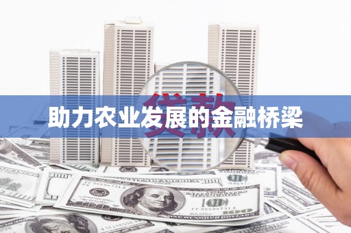 汝南助力农业发展的金融桥梁