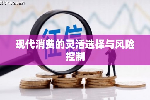 汝南现代消费的灵活选择与风险控制