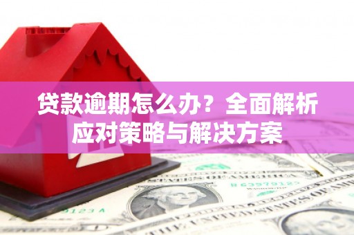 汝南贷款逾期怎么办？全面解析应对策略与解决方案