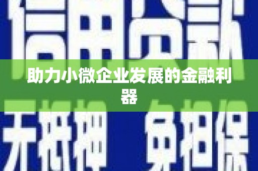 汝南助力小微企业发展的金融利器
