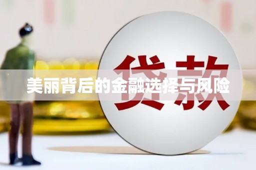 汝南美丽背后的金融选择与风险
