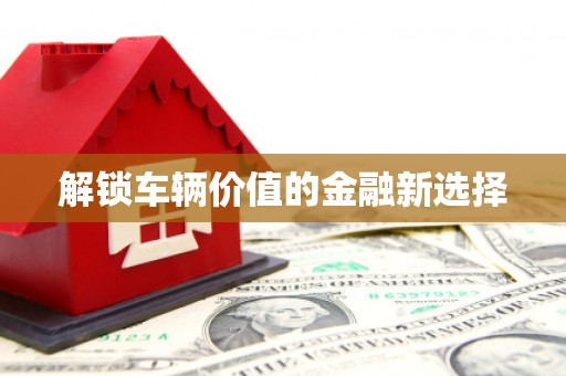 汝南解锁车辆价值的金融新选择