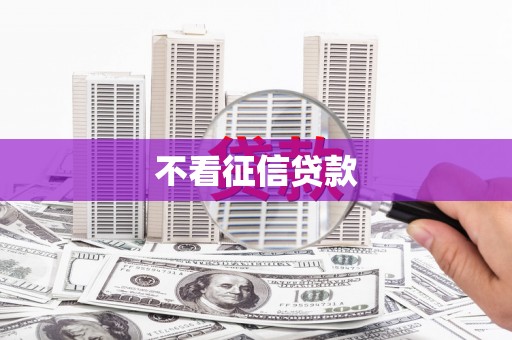 汝南不看征信贷款