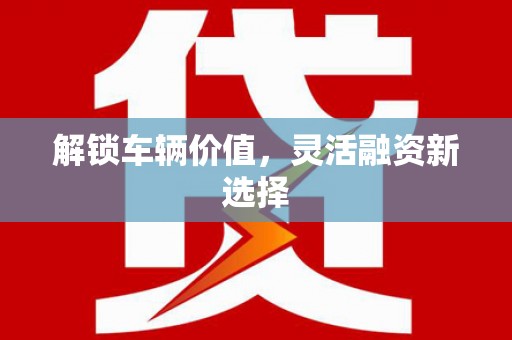 汝南解锁车辆价值，灵活融资新选择
