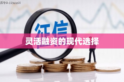 汝南灵活融资的现代选择