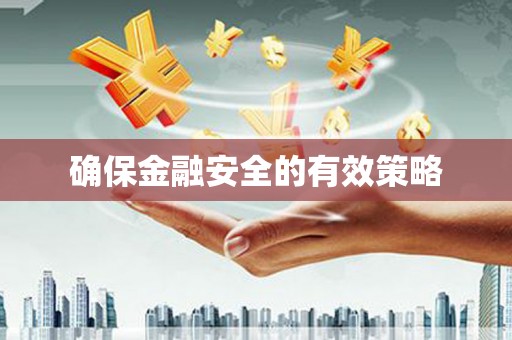 汝南确保金融安全的有效策略