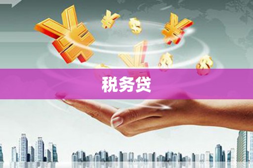 汝南税务贷