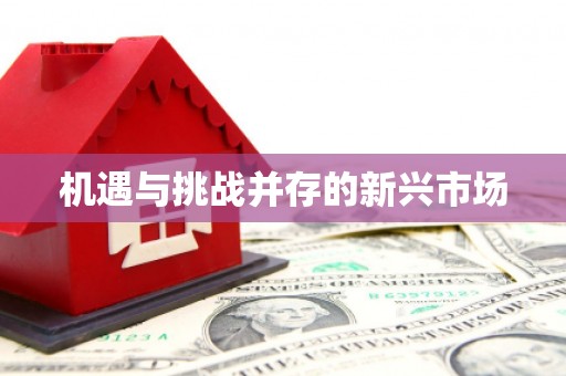 汝南机遇与挑战并存的新兴市场