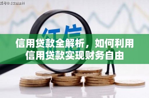 汝南信用贷款全解析，如何利用信用贷款实现财务自由