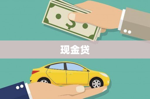 汝南现金贷