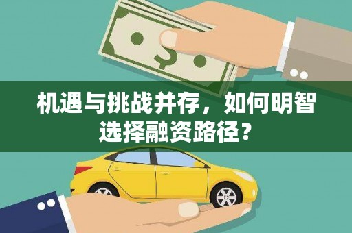 汝南机遇与挑战并存，如何明智选择融资路径？
