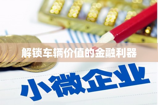 汝南解锁车辆价值的金融利器