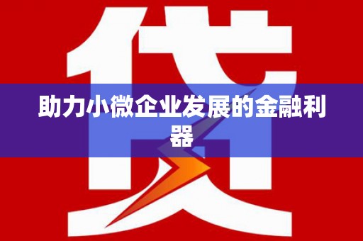 汝南助力小微企业发展的金融利器