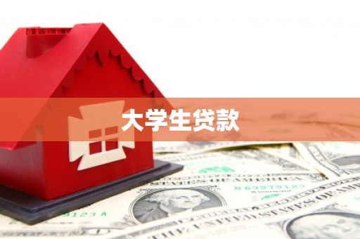 汝南大学生贷款