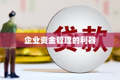 汝南企业资金管理的利器