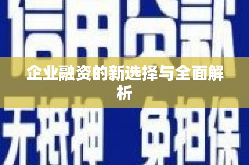 汝南企业融资的新选择与全面解析